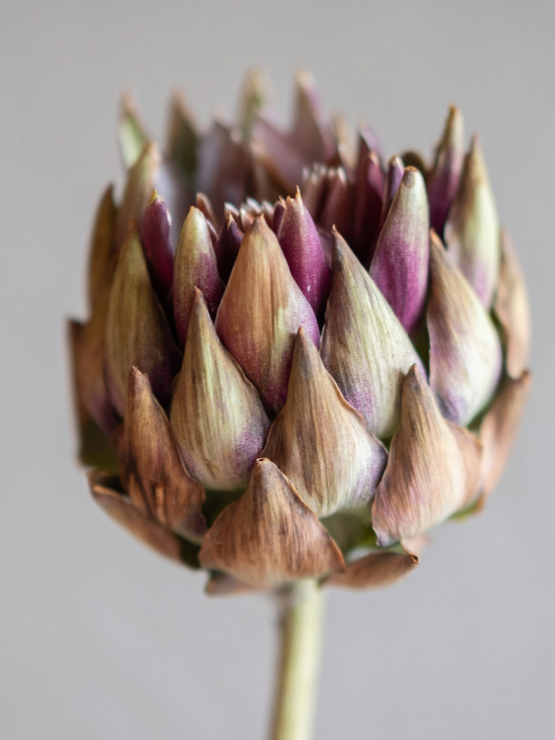Abstraktes Bild über Selbsterkenntnis und die Herausforderungen des Lebens, die uns stark machen