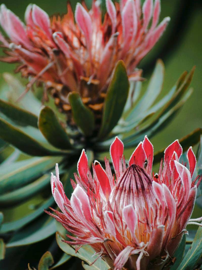 Serie Soulsisters über Schwestern, Loslösung und Verbundenheit