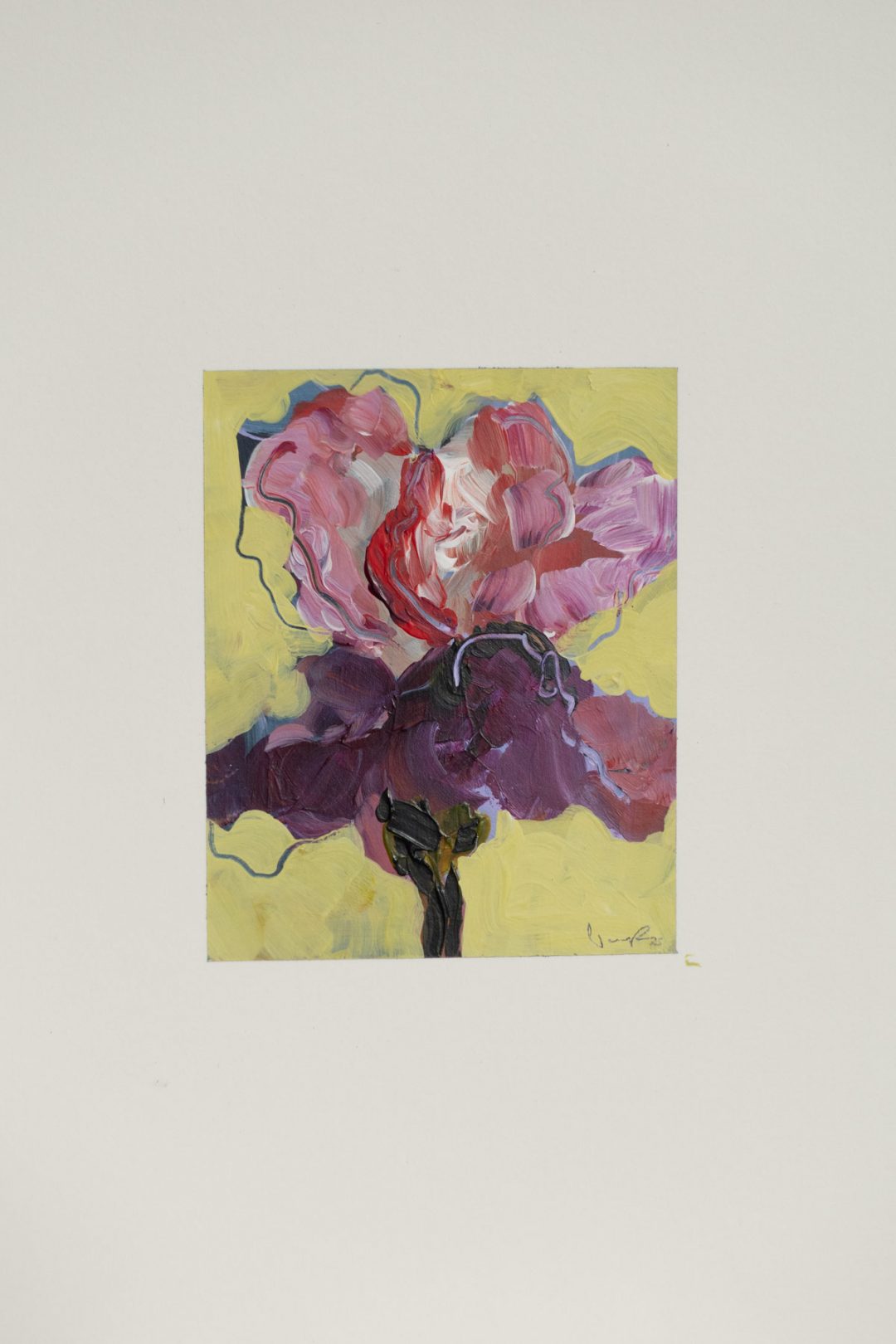 Merry Mini 2025 – 11